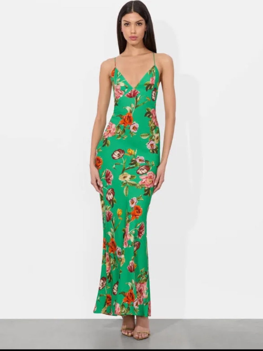 Alice and Olivia Loma maxi gown - Spring / Summer wedding